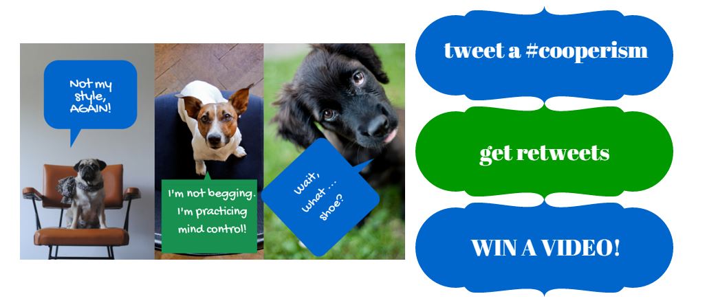 Twitter Contest Grapic