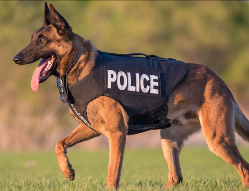 Vested Interest in K-9s Charity Drive